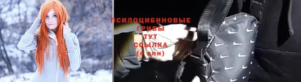 гашик Абдулино