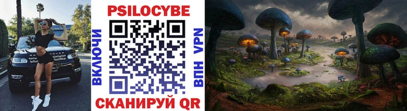 Псилоцибиновые грибы Psilocybe omg ONION Сарапул